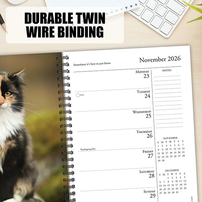 Willow Creek Press 2026 Engagement Calendar - What Cats Teach Us image number null