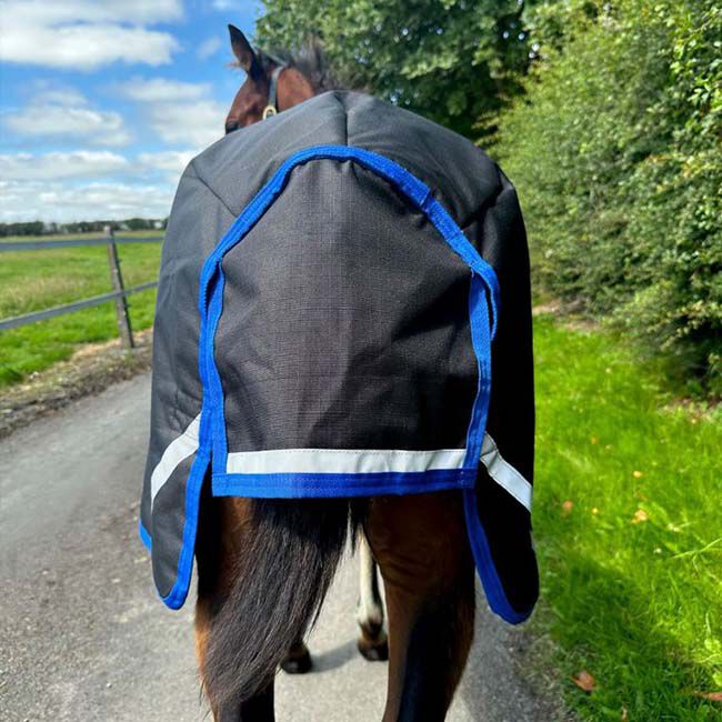 Horseware Amigo Ripstop 900D Foal Turnout (200g) - Black/Classic Blue image number null