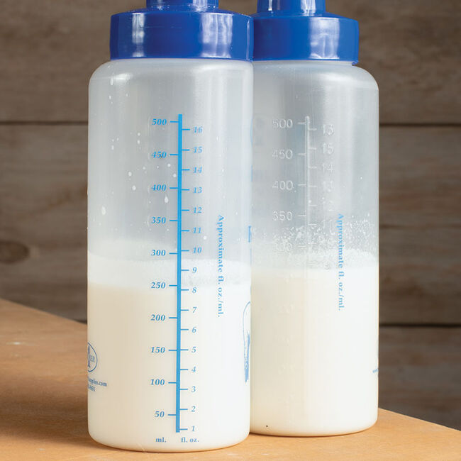 Premier 1 Wide Mouth Lamb 'N' Kid Feeding Bottle with Pritchard Teat image number null