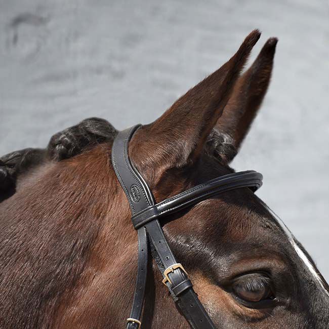 Bobby's English Tack Signature Series Padded Monocrown Dressage Bridle image number null