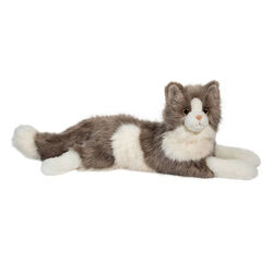 Douglas Greta the DLux Cat