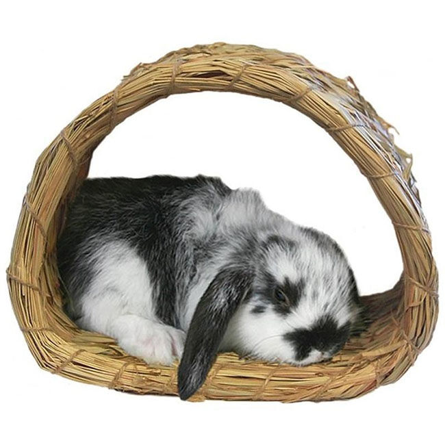 Peter's Hide-A-Way Grass Hut image number null