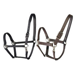 Tekna Padded Breakaway Halter
