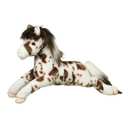 Douglas Hawkeye the Appaloosa Horse