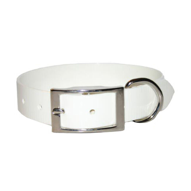 OmniPet SunGlo Collar with D-Ring - White image number null