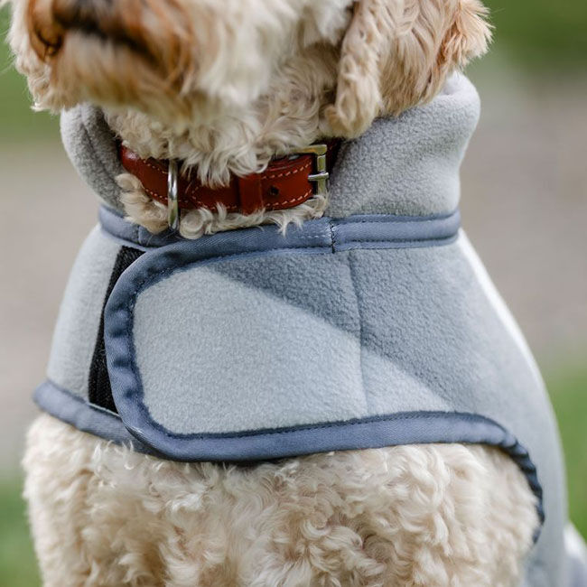 Horseware Newmarket Dog Coat - Witney Charcoal image number null