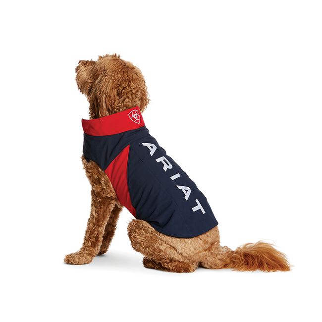 Ariat Team Softshell Dog Jacket - Navy image number null