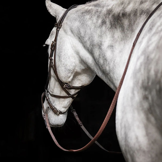 Horseware Micklem Bitless Bridle image number null