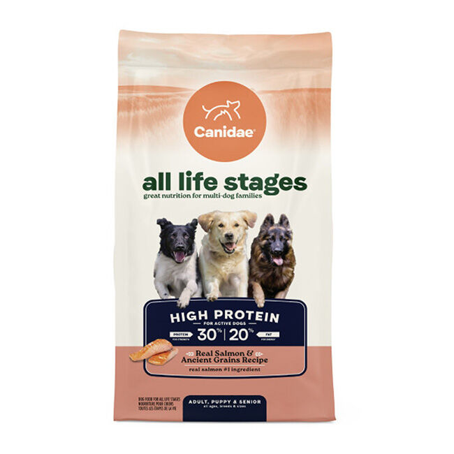 Canidae All Life Stages Dog Food - High Protein 30/20 for Active Dogs - Real Salmon & Ancient Grains Recipe image number null