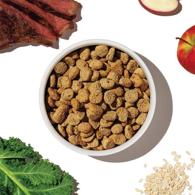 The Honest Kitchen Whole Grain Clusters Dog Food - Beef & Oat Recipe image number null