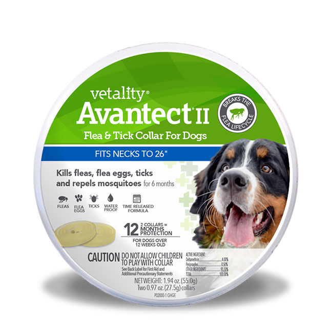 Vetality Avantect II Flea & Tick Collar for Dogs image number null