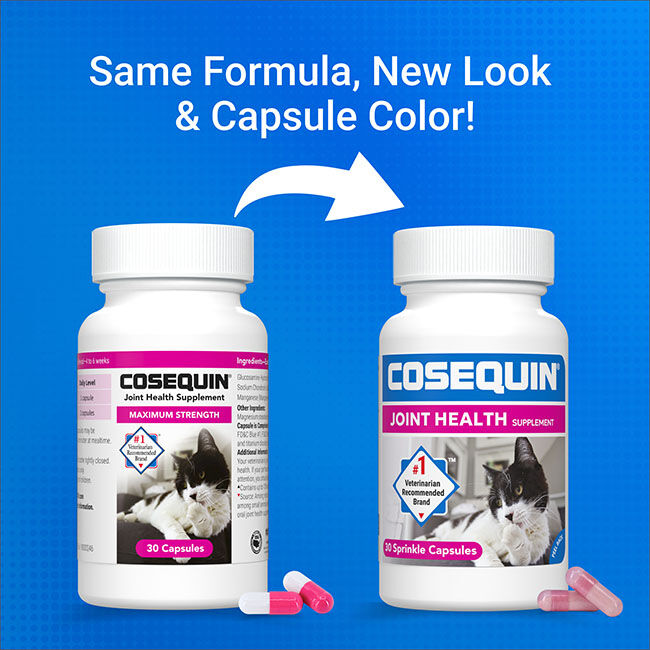 Nutramax Cosequin for Cats Joint Health Supplement, Contains Glucosamine for Cats, Plus Chondroitin, Supports Healthy Joints, for all Breeds and Sizes, Sprinkle Capsules - 30 Capsules image number null