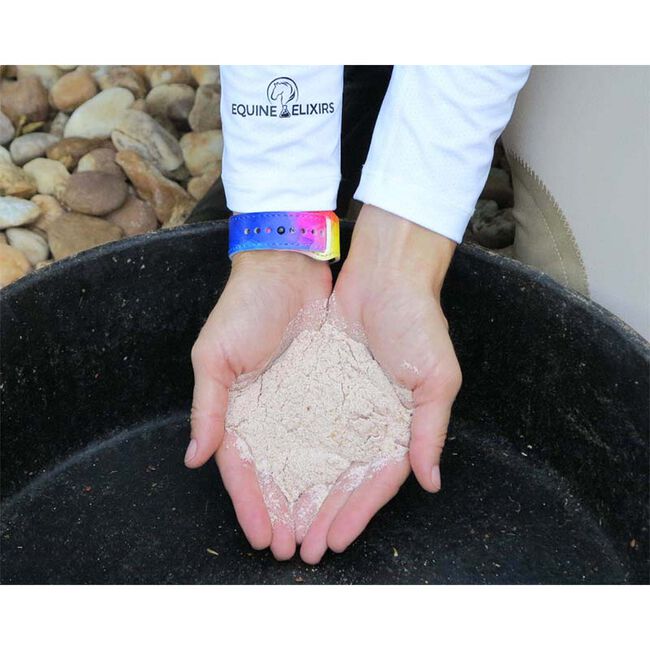 Equine Elixirs Arthroscope image number null