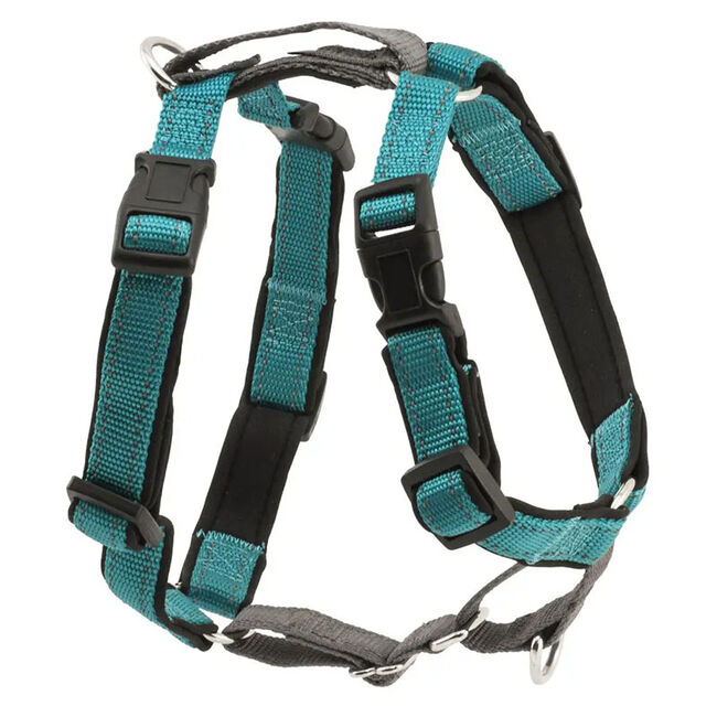 PetSafe 3-in-1 Dog Harness Teal The Cheshire Horse