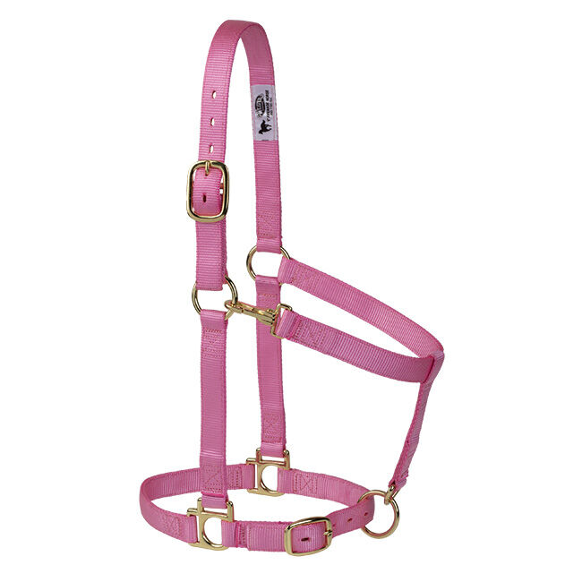 Weaver Equine Poly Adjustable Halter image number null