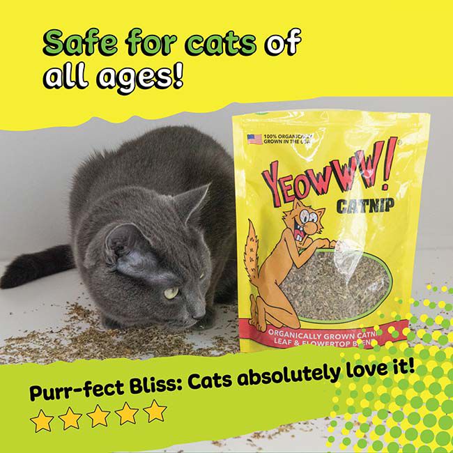 Yeowww! Catnip - 1 oz image number null