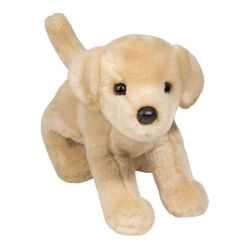 Douglas Spankie the Yellow Lab