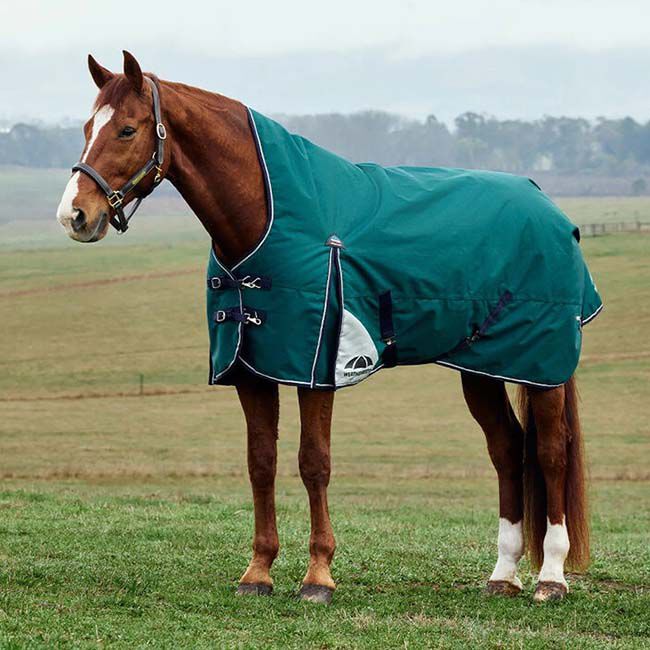 WeatherBeeta ComFiTec Plus Dynamic Turnout High Neck (220 g) - Forest Green/Navy image number null