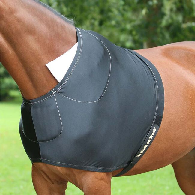 Back on Track Equine Shoulder Gaurd image number null