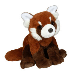 Douglas Kyrie the Soft Red Panda