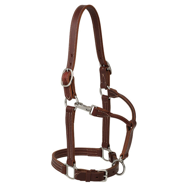 Weaver Equine Ranch Horse Halter - Canyon Rose image number null