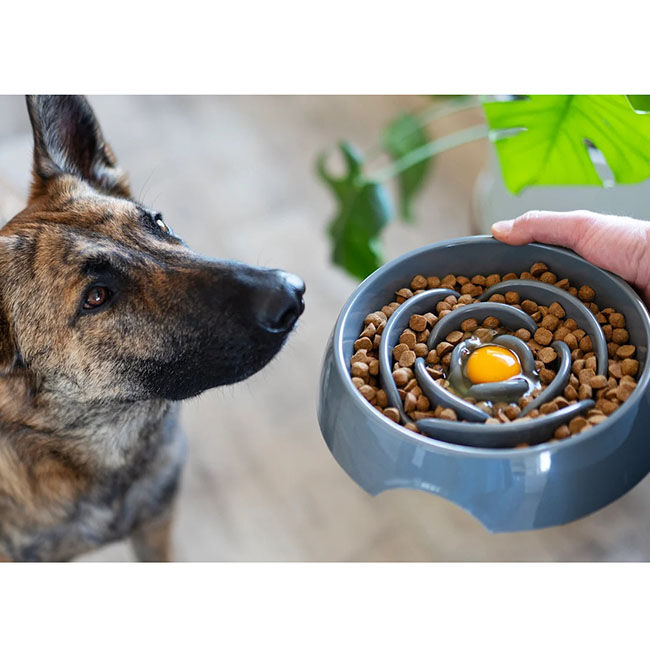 Messy Mutts 3-Cup Capacity Interactive Slow Feeder image number null