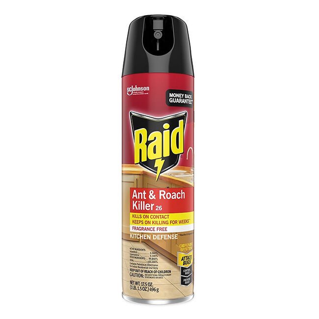 Raid Ant & Roach Killer 26 - Fragrance Free - 17.5 oz image number null