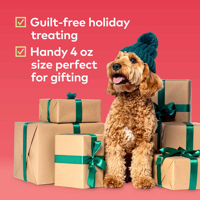 Honest to Goodness Plant Snacks Howliday Treats - Apple Spice Recipe - 4 oz image number null