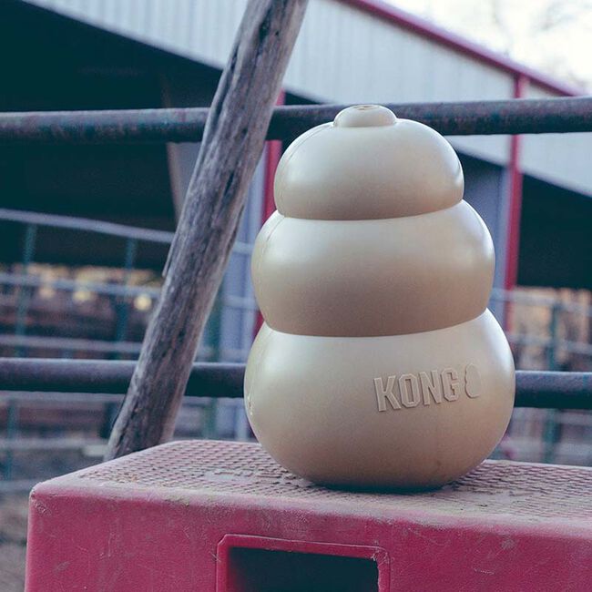 KONG Equine Classic, Heavy Duty 12" The Cheshire Horse