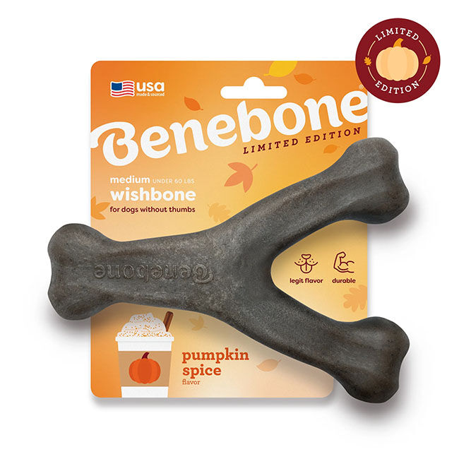 Benebone Wishbone Dog Chew - Pumpkin Spice Flavor image number null