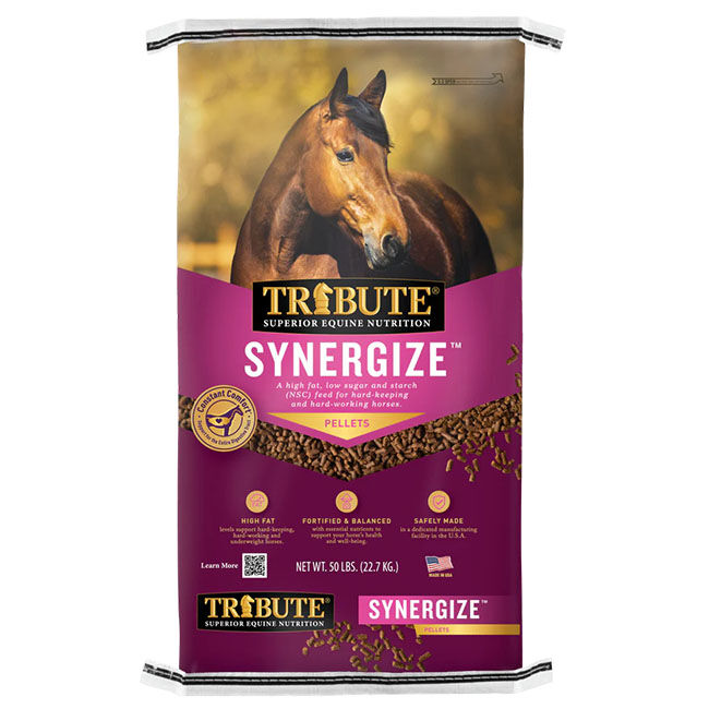Tribute Synergize - Low NSC, High Fat Pellets - 50 lb image number null