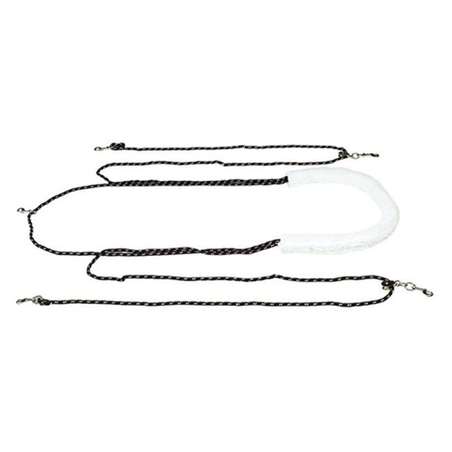 Horze Lunging Aid image number null