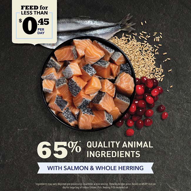 ACANA Cat Indoor Entr&eacute;e Recipe with Fish image number null