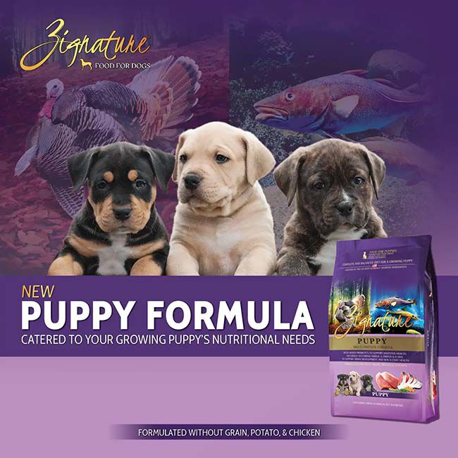 Zignature Dog Food - Puppy Formula image number null
