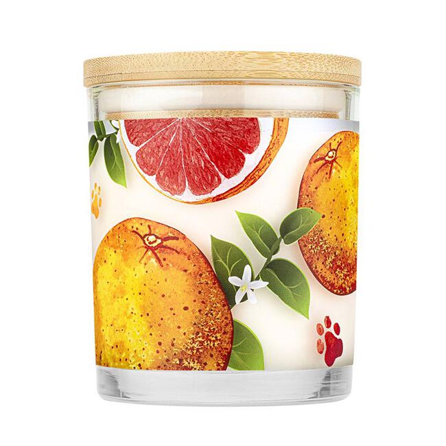 Pet House Candle Ruby Red Grapefruit Candle image number null
