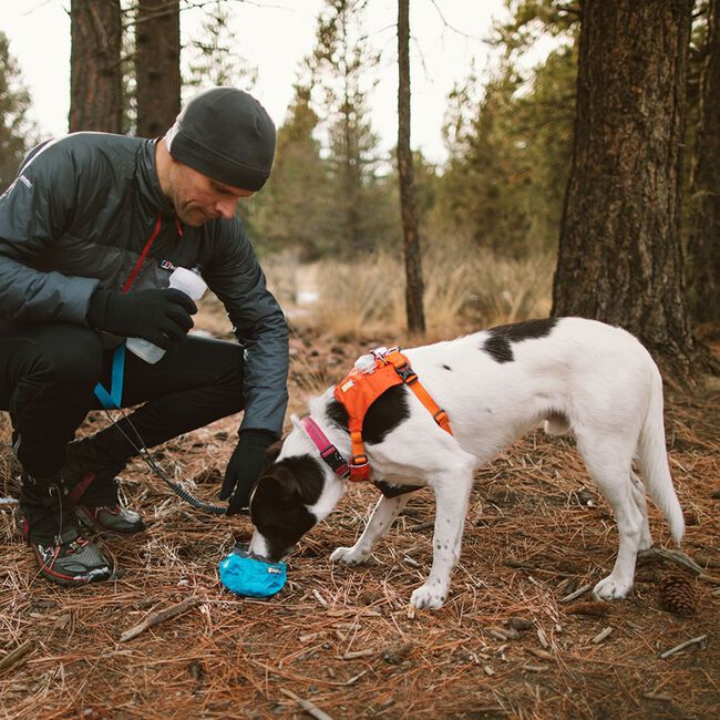 Ruffwear Trail Runner Bowl  image number null
