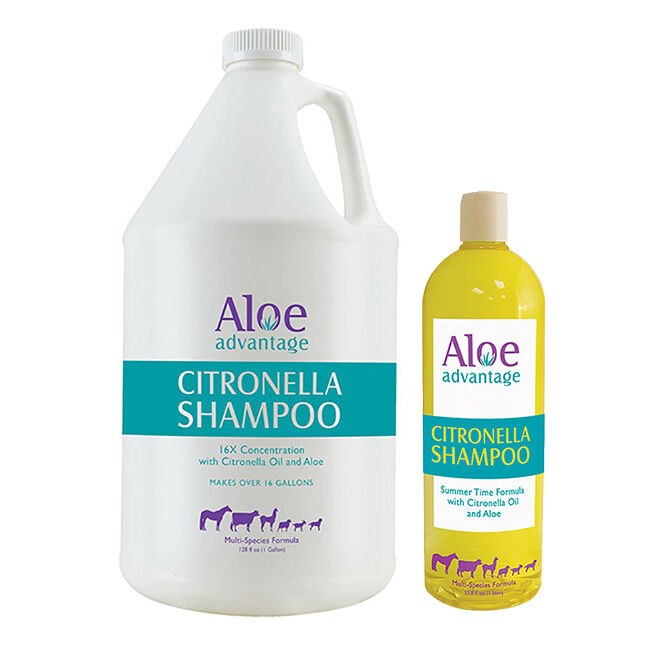 Durvet Aloe Advantage Citronella Shampoo - Group image number null