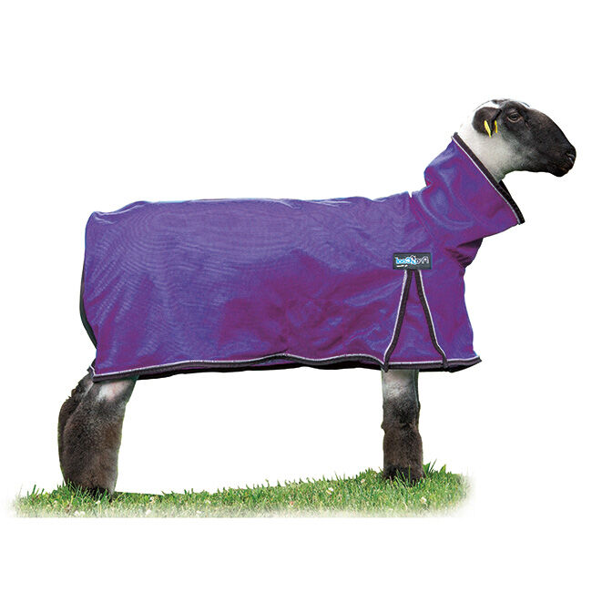 Weaver Livestock ProCool Sheep Blanket with Reflective Piping image number null