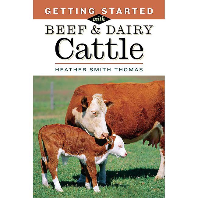 Getting Started Beef & Dairy image number null