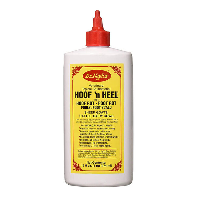 Dr. Naylor Hoof 'N Heel image number null