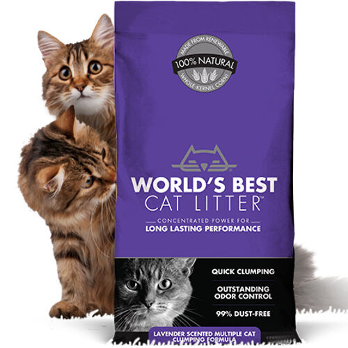 Cheshire natural shop cat litter
