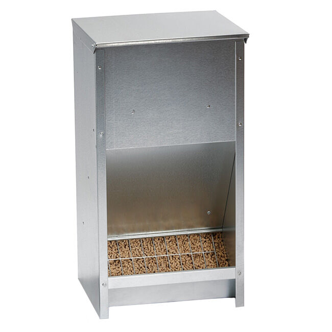 Little Giant Galvanized High-Capacity Poultry Feeder image number null