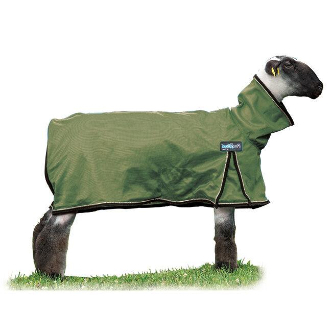 Weaver Livestock ProCool Sheep Blanket with Reflective Piping - Closeout image number null