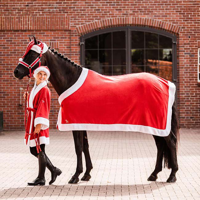 Horze Christmas Halter image number null
