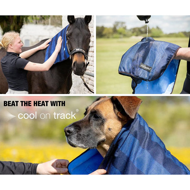 Back on Track Cool on Track Cooling Bandana for Dogs image number null