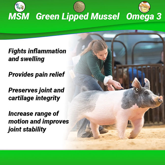 OptiWize Collagen Plus for Livestock image number null