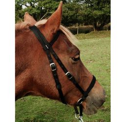 Dr. Cook Bitless Bridle Nylon Headstall