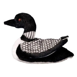 Douglas Ludwig the Loon