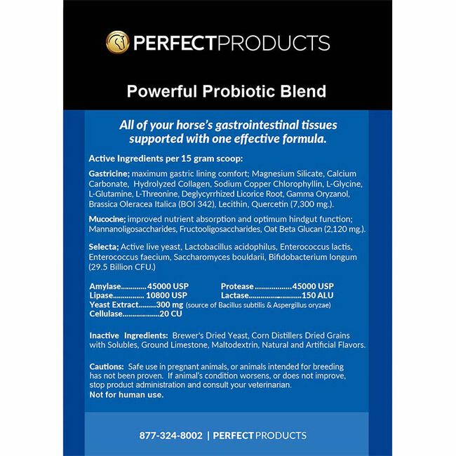 Perfect Products GastroEase EQ image number null