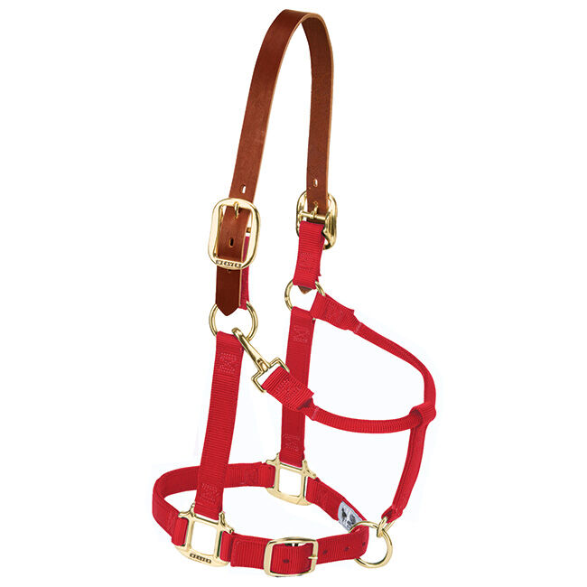 Weaver Breakaway Nylon Halter - Red image number null